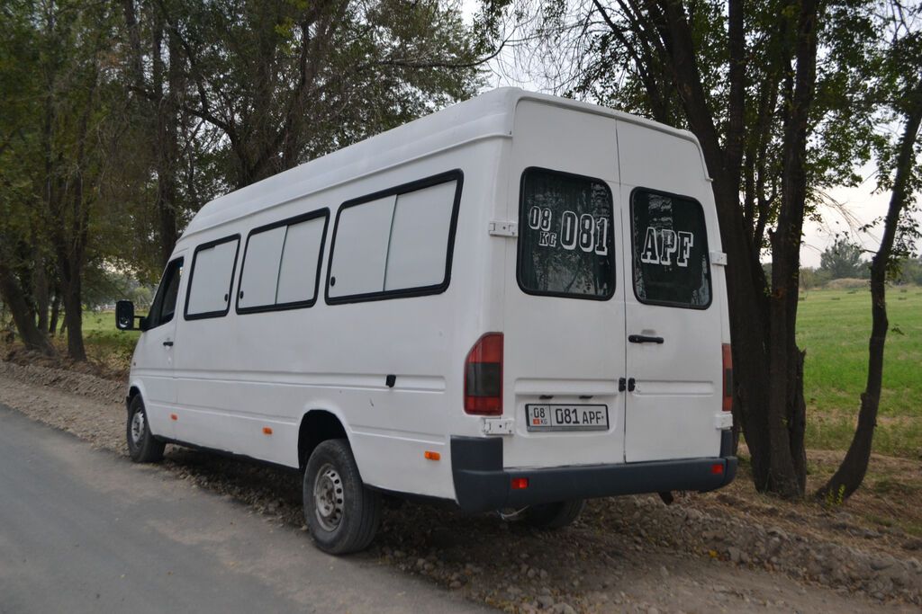 Mercedes-Benz Спринтер: 1996 г., 2.9 л, Механика, Дизель, Фургон: фото 2