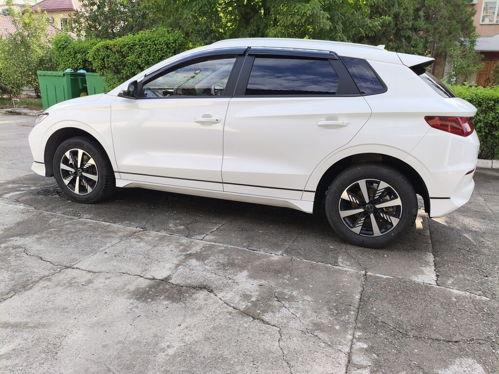 BYD E2: 2024 г., Автомат, Электромобиль, Хэтчбэк: фото 2