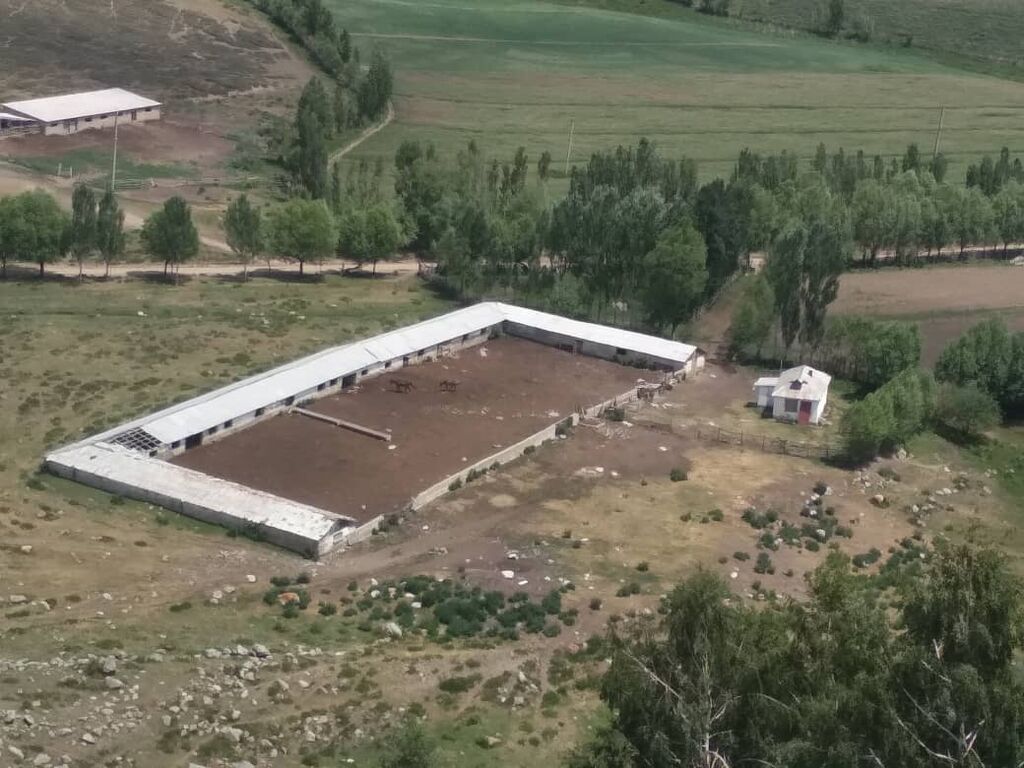 Продаётся Кошара в Иссык-кульской области, село Ананьево. Имеется: фото 4