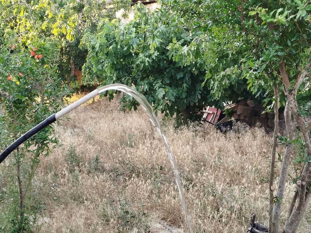 4 sot, Tikinti, Mülkiyyətçi, Kupça (Çıxarış)