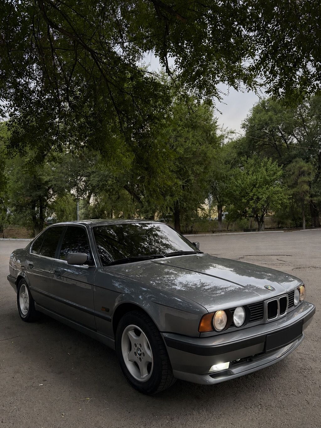 BMW 5 series: 1993 г., 2.5 л, Автомат, Бензин, Седан: фото 2