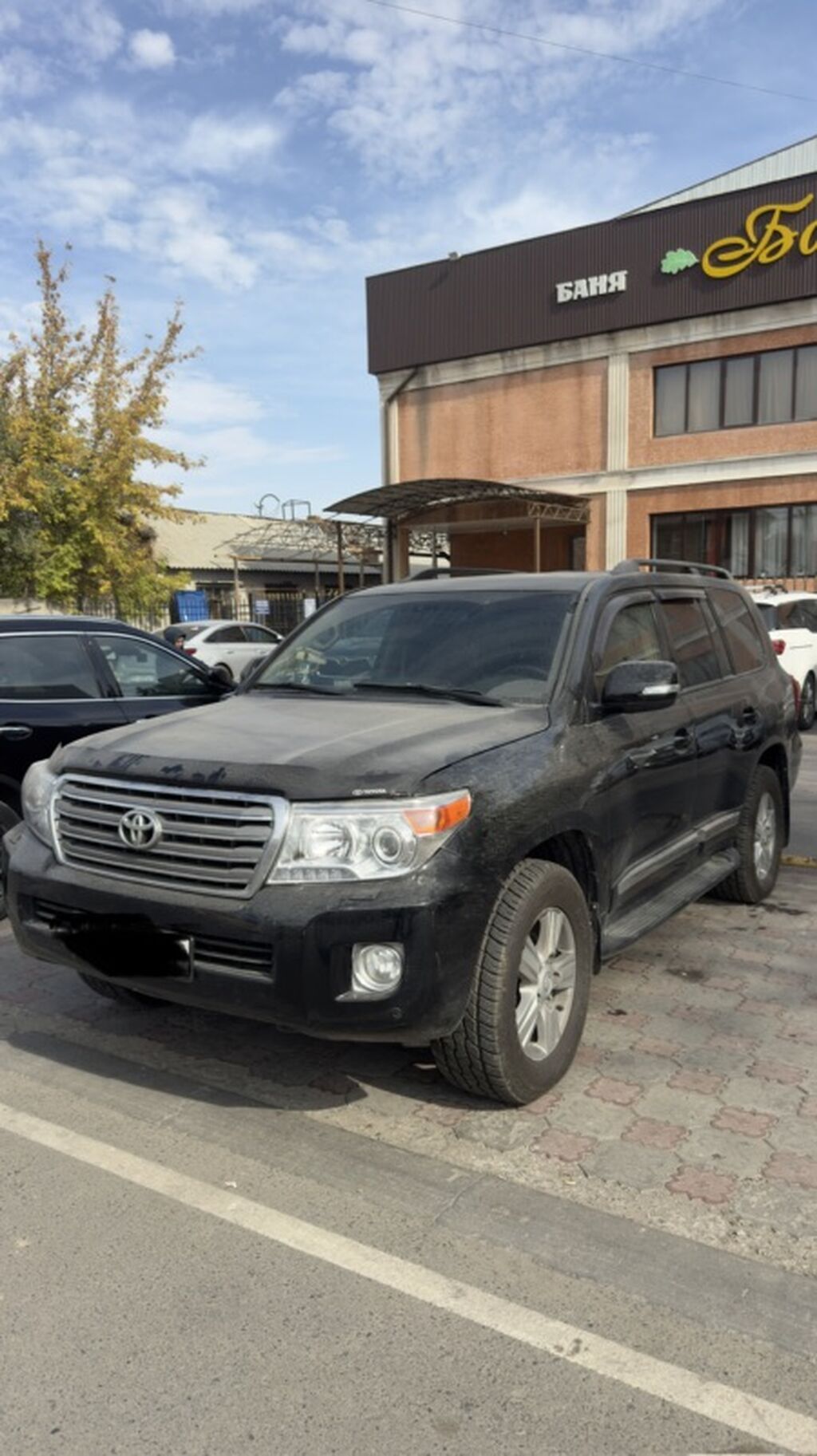Toyota Land Cruiser: 2008 г., 4.6 л, Автомат, Дизель, Внедорожник: фото 3