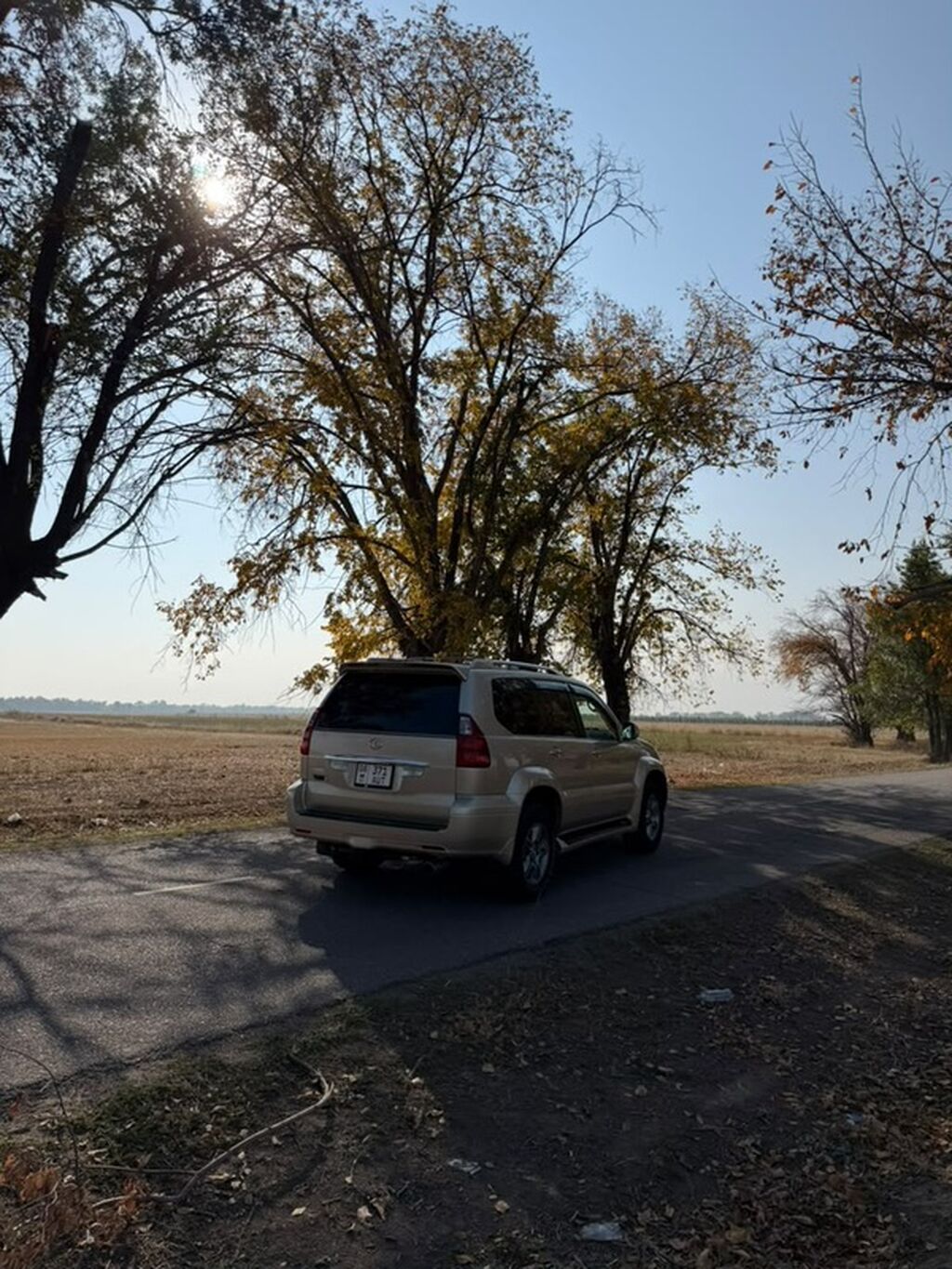 Lexus GX: 2008 г., 4.7 л, Газ, Внедорожник: фото 6