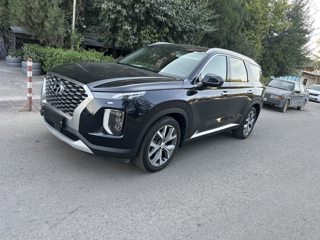 Hyundai Palisade: 2019 г., 2.2 л, Автомат, Дизель, Кроссовер: фото 8