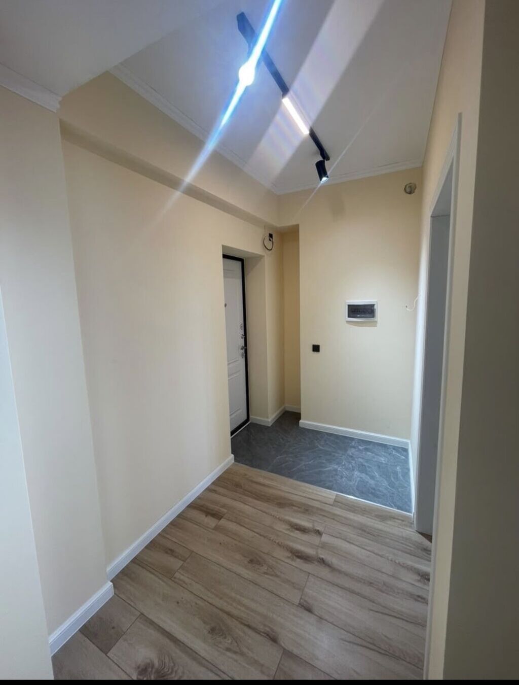 1 комната, 45 м², Ошский рынок / базар Элитка, 10 этаж, Свежий ремонт: фото 4