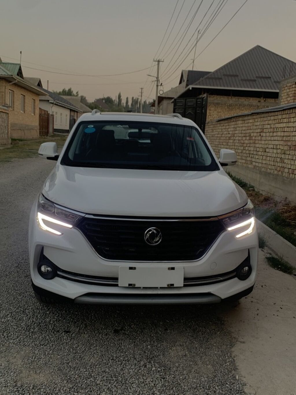 Dongfeng Forthing