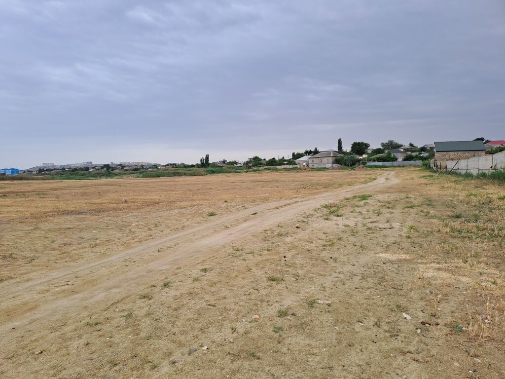 100 sot, Makler, Kupça (Çıxarış)