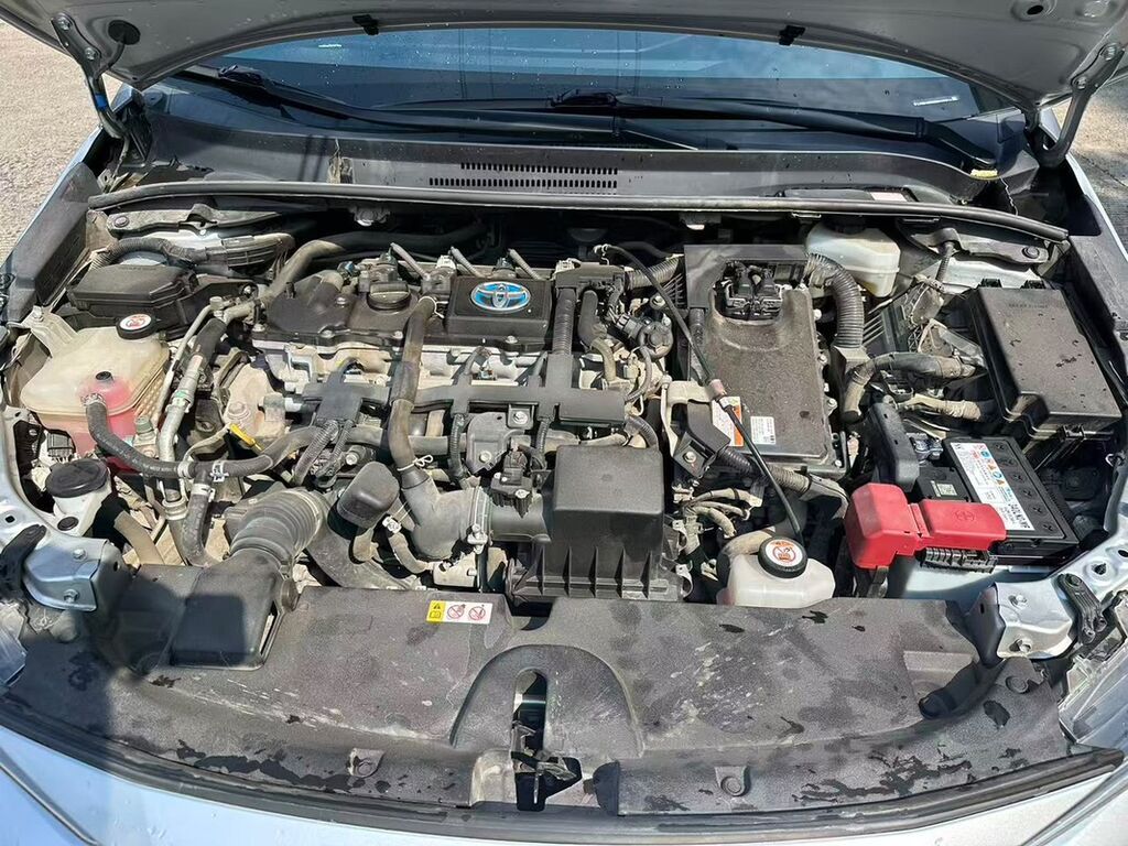 Toyota Levin: 2021 г., Вариатор, Гибрид, Седан: фото 2
