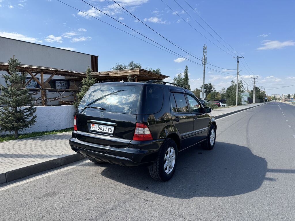 Mercedes-Benz M-Class: 2004 г., 3.7 л, Автомат, Газ, Внедорожник: фото 6
