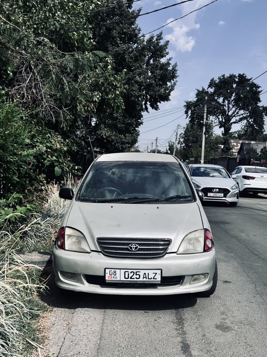Toyota Nadia: 1998 г., 2 л, Автомат, Бензин, Минивэн: фото 1