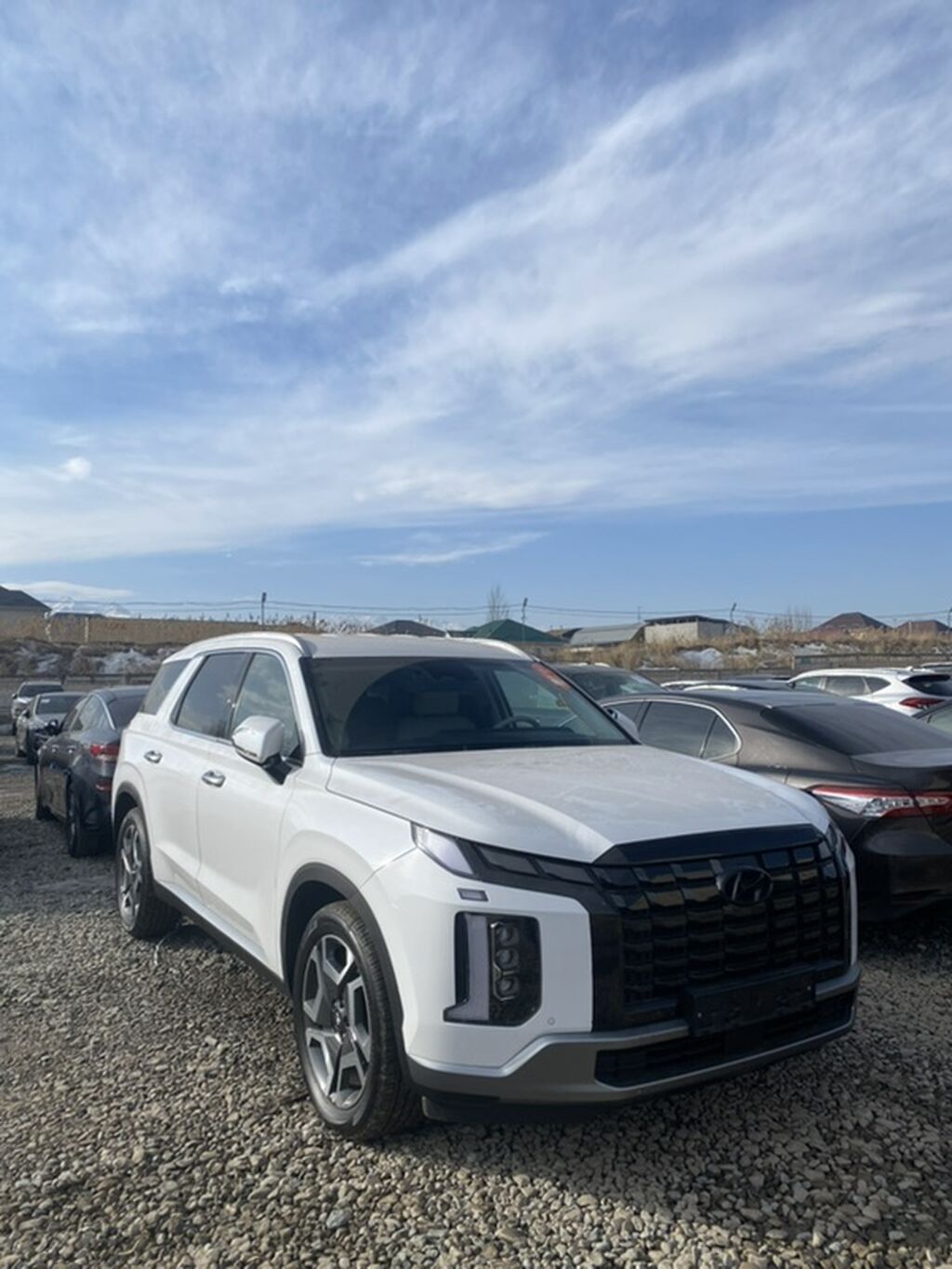 Hyundai Palisade: 2022 г., 2.2 л, Автомат, Дизель, Кроссовер: фото 8