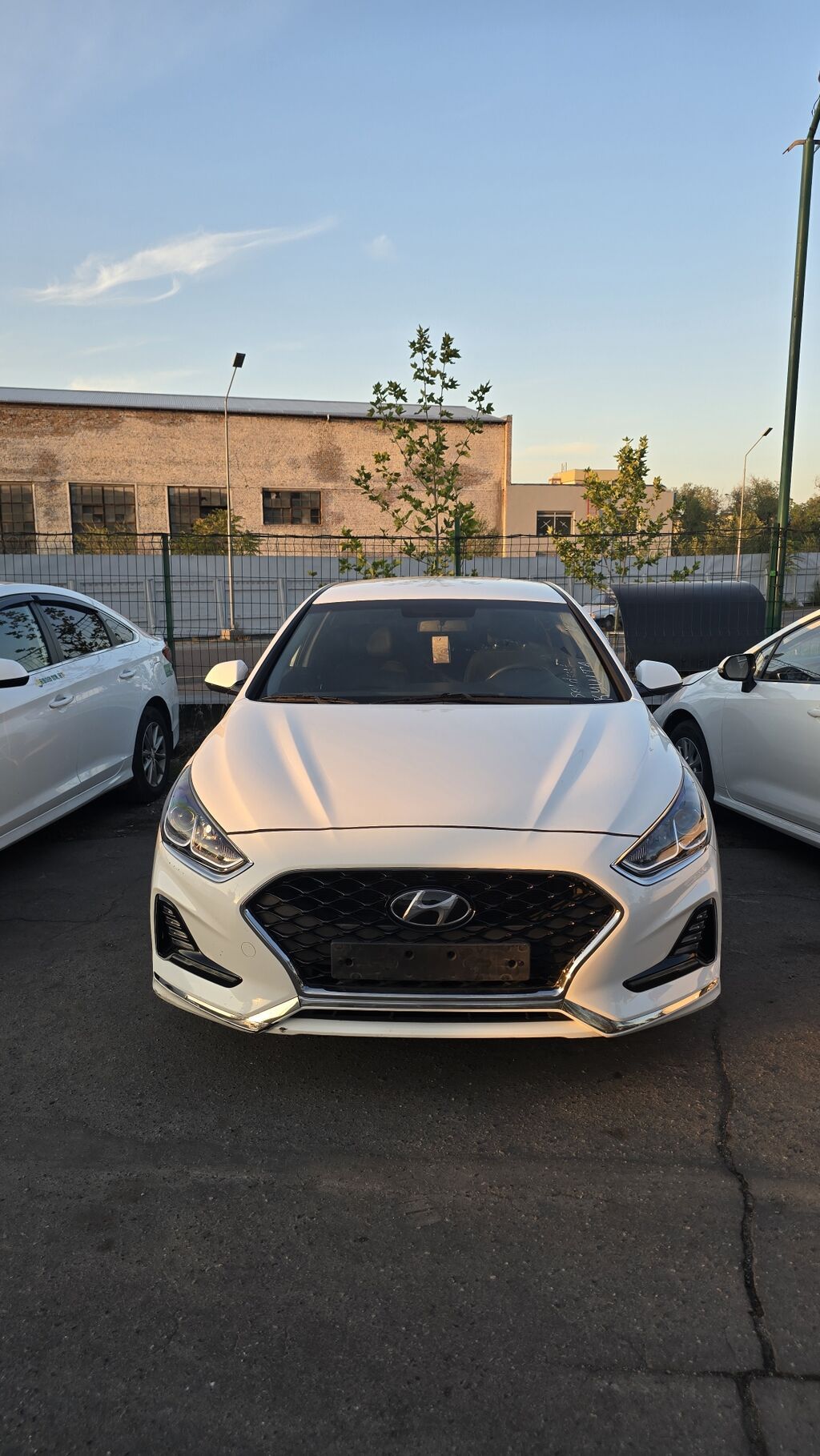 Hyundai Sonata: 2020 г., 2 л, Автомат, Газ, Седан: фото 2