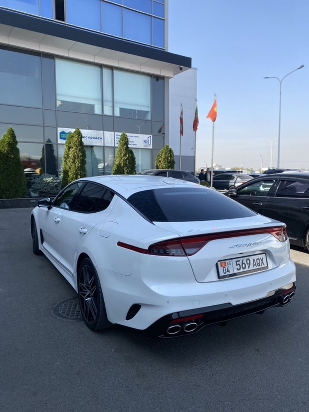 Kia Stinger: 2021 г., 2.5 л, Бензин, Лифтбек: фото 2