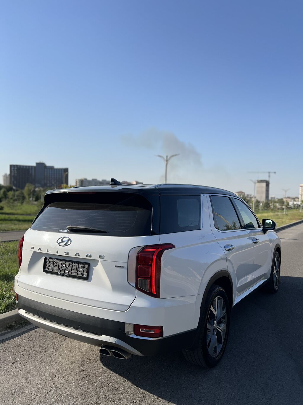Hyundai Palisade: 2019 г., 2.2 л, Автомат, Дизель, Кроссовер: фото 5