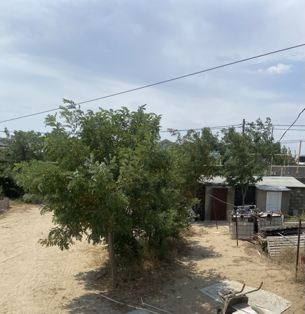 4 sot, Tikinti, Mülkiyyətçi, Kupça (Çıxarış)