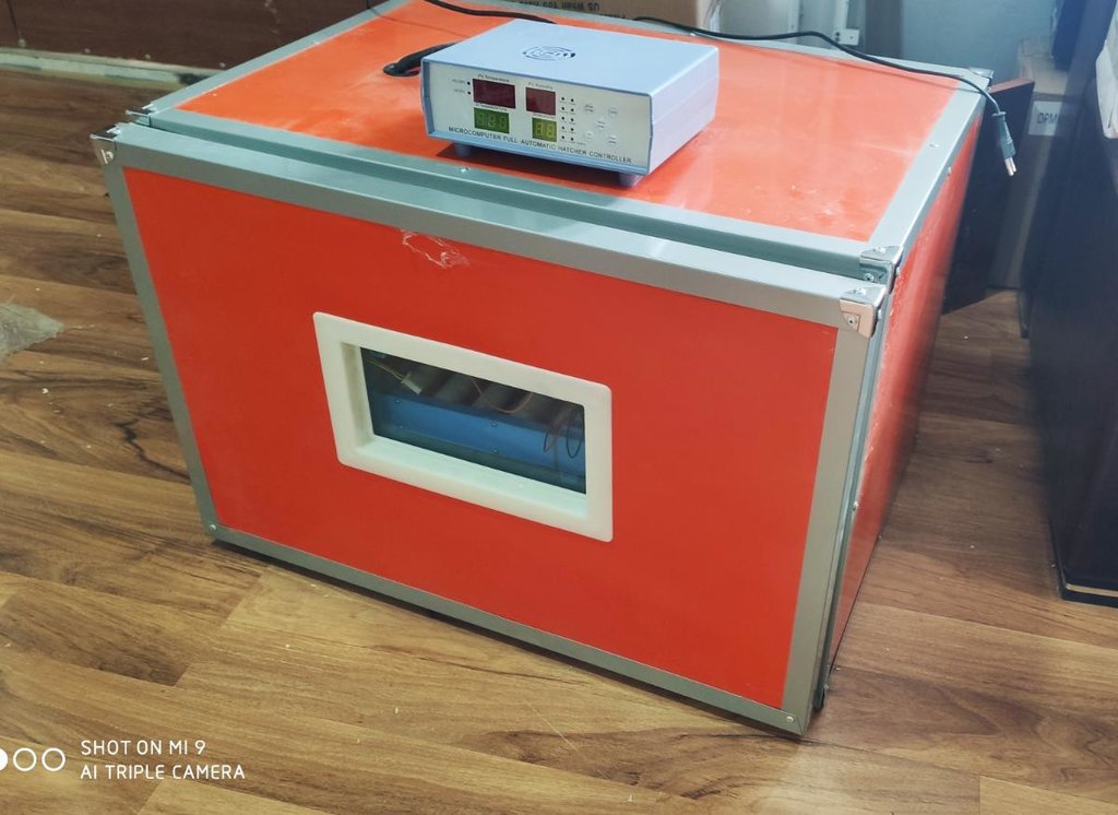 Inkubator inqibator inkibator inqubator Sənaye tipli 530 AZN