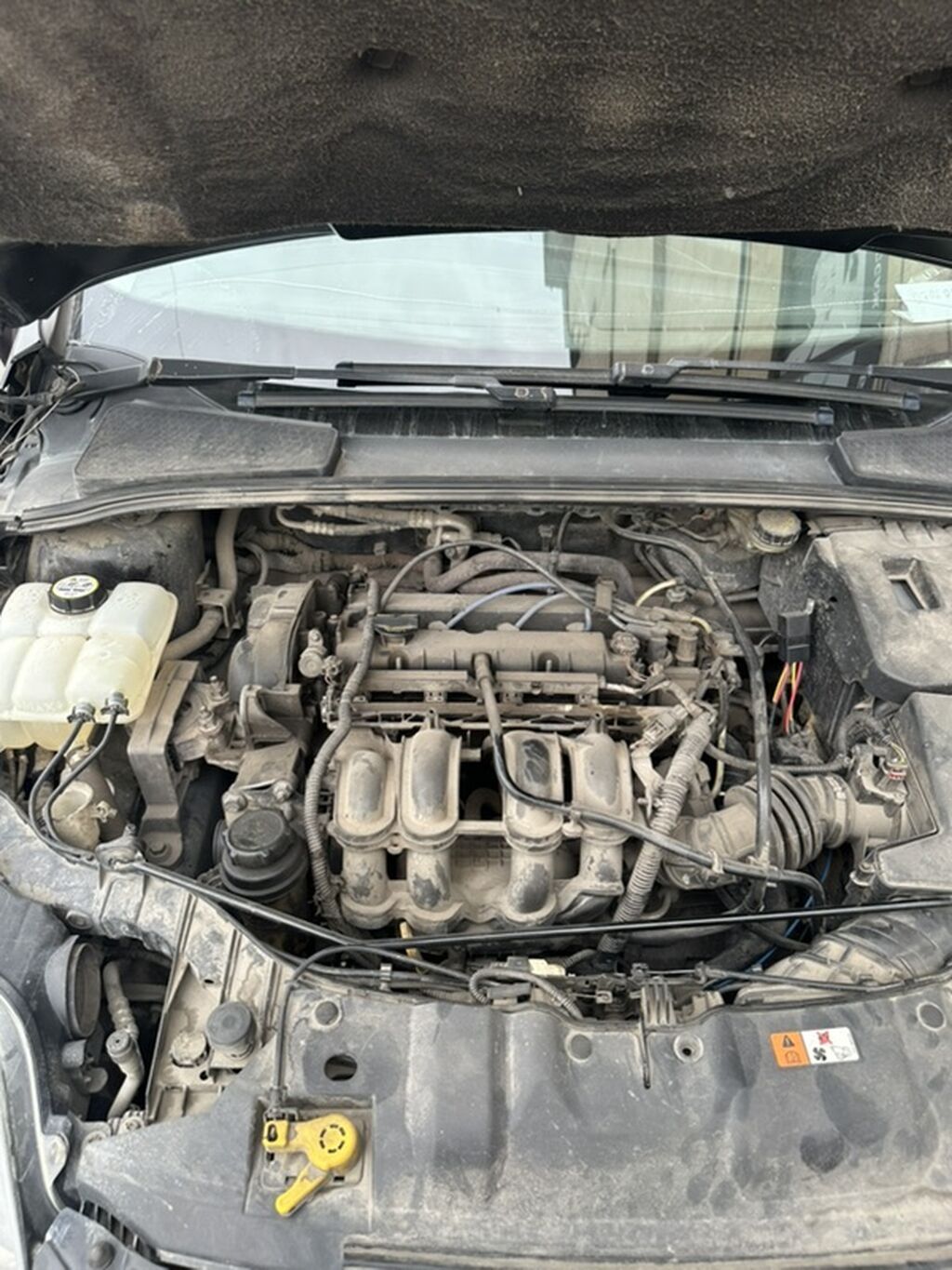 Ford Focus: 2013 г., 1.6 л, Автомат, Бензин, Универсал: фото 7