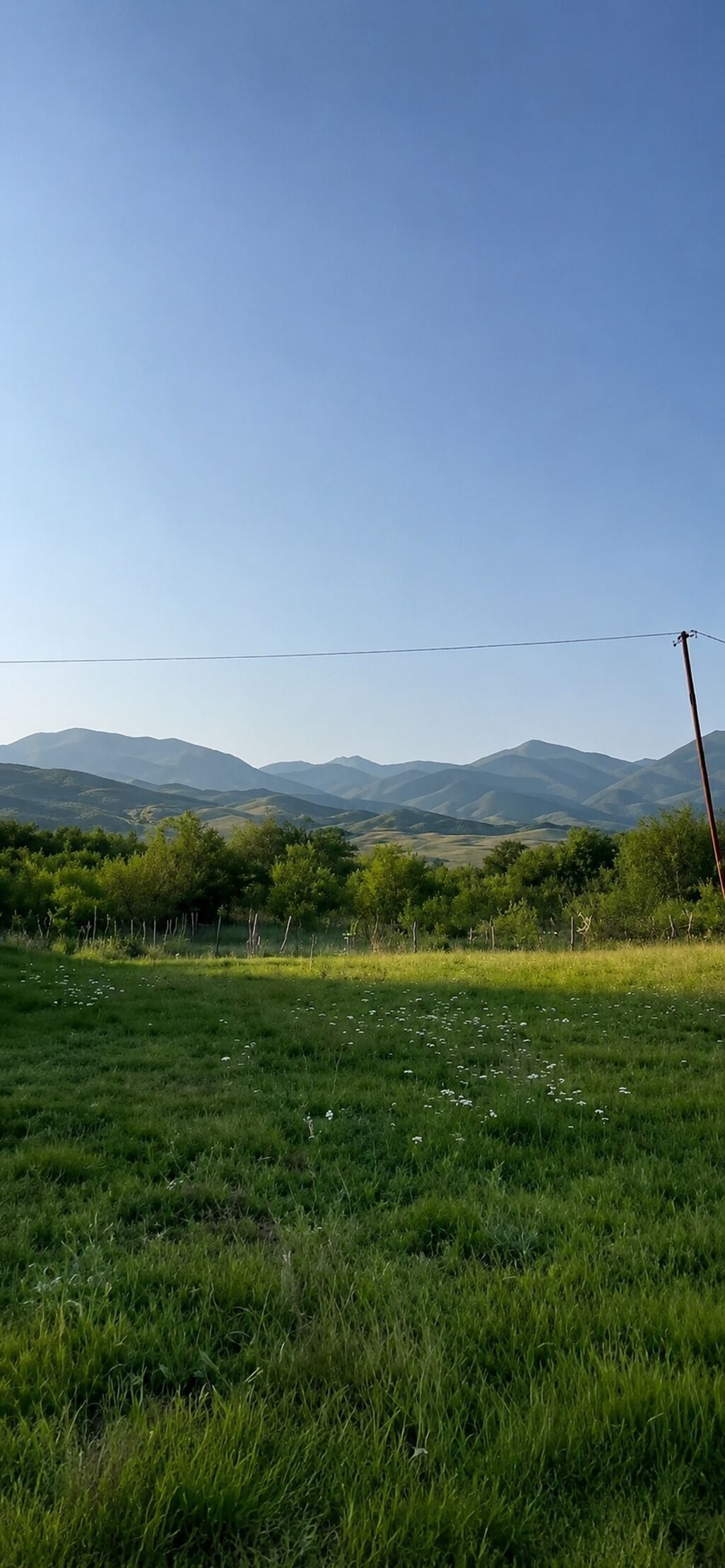50 sot, Kənd təsərrüfatı, Mülkiyyətçi, Bələdiyyə