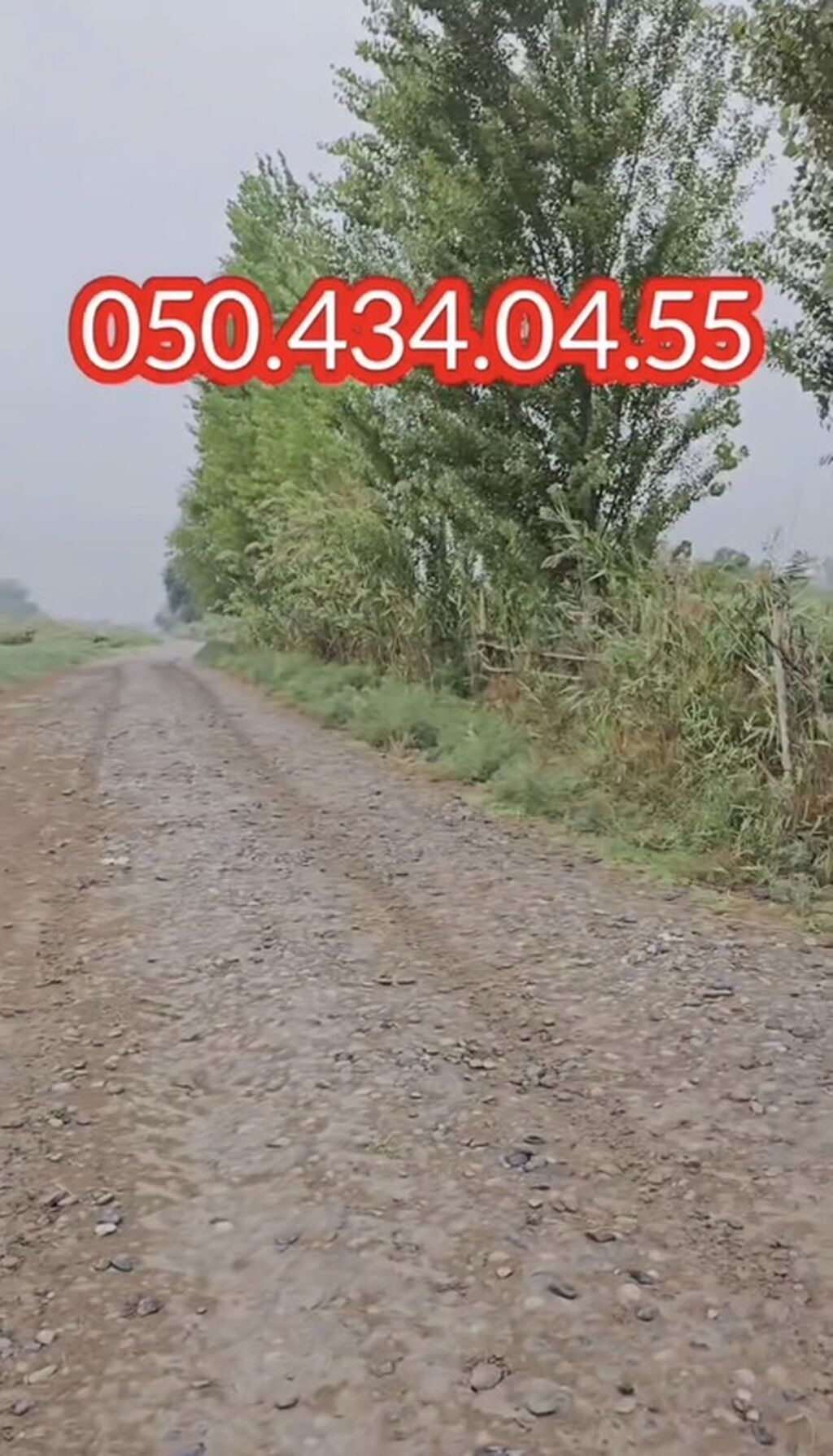 15 otaq, 1000 kv. m, Kredit yoxdur, Təmirsiz