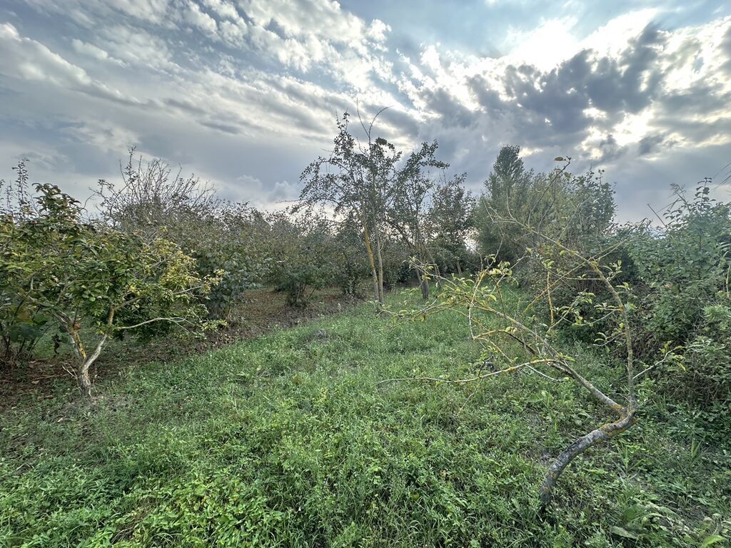 32 sot, Kənd təsərrüfatı, Mülkiyyətçi, Kupça (Çıxarış)