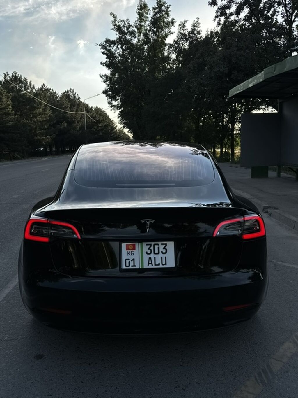 Tesla Model 3: 2019 г., Электромобиль, Лифтбек: фото 3