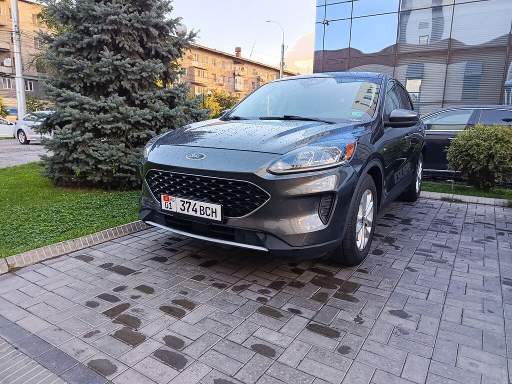 Ford Escape: 2020 г., Кроссовер: фото 4