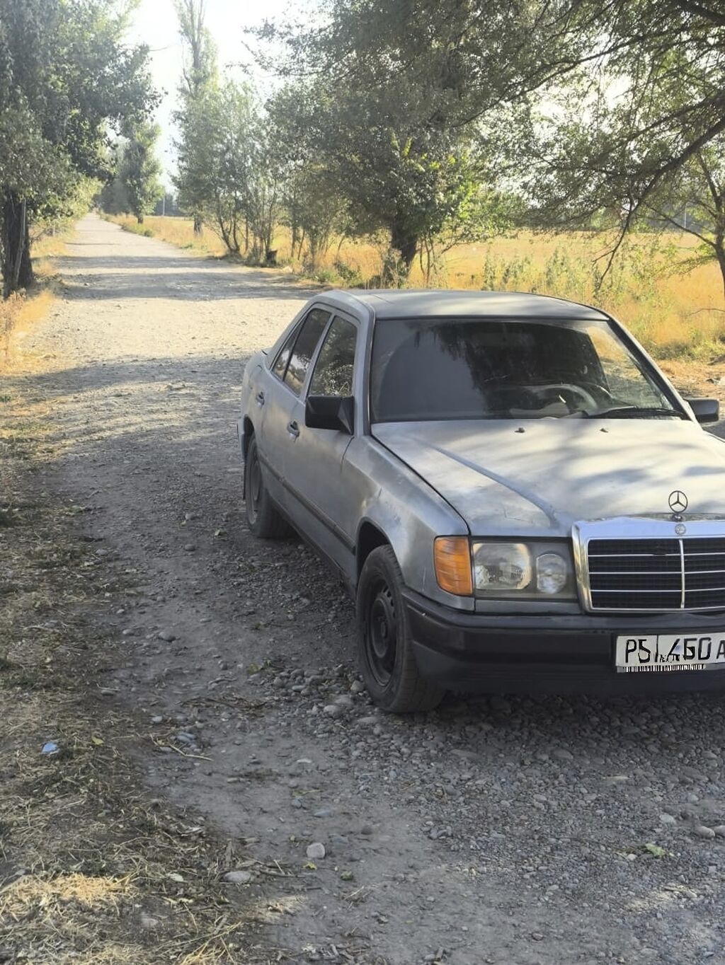 Mercedes-Benz E-Class: 1986 г., 2.3 л, Механика, Бензин, Седан: фото 1