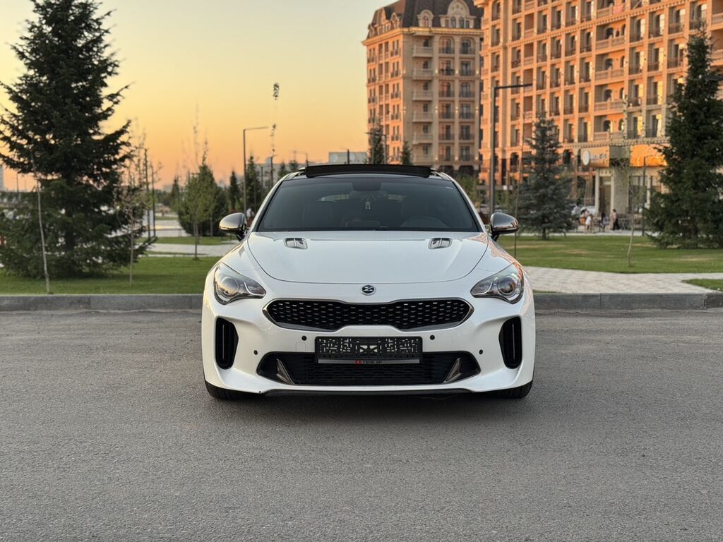 Kia Stinger: 2019 г., 2 л, Автомат, Бензин, Фастбек: фото 3