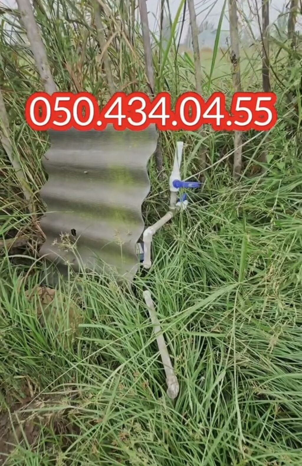 15 otaq, 1000 kv. m, Kredit yoxdur, Təmirsiz
