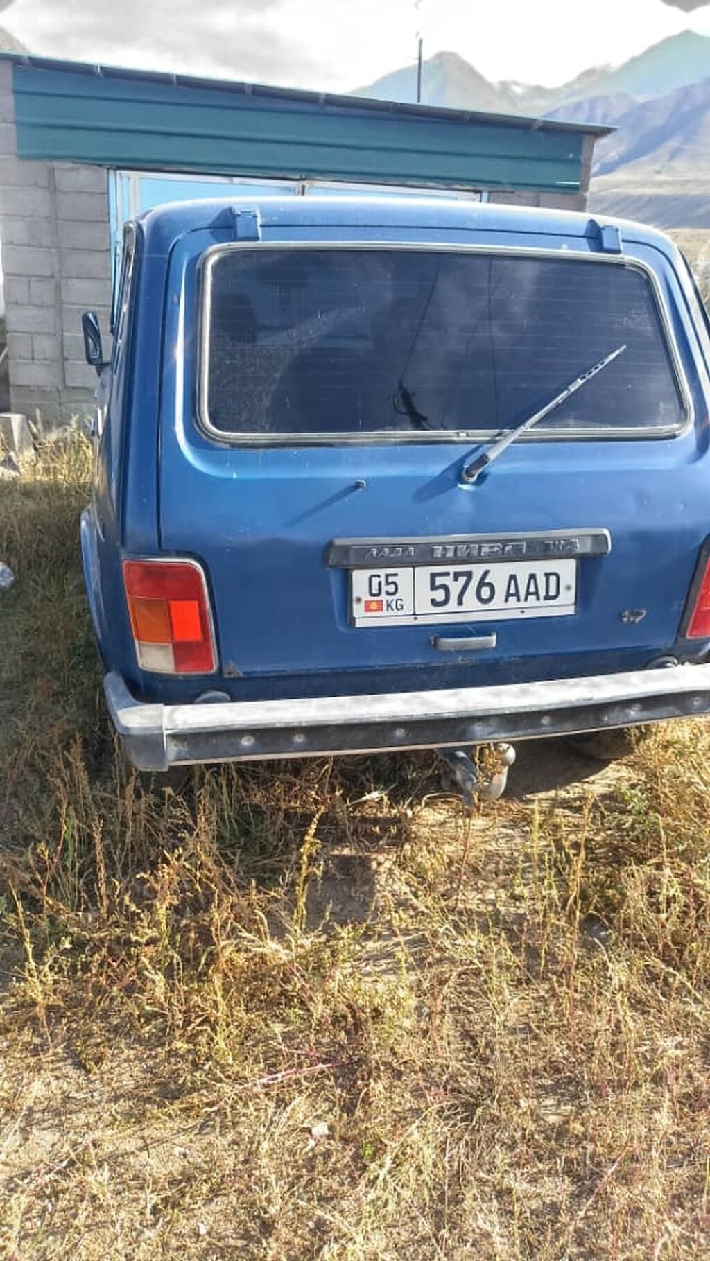 ВАЗ (ЛАДА) 4x4 Нива: 2001 г., 1.7 л, Механика, Бензин, Внедорожник: фото 7