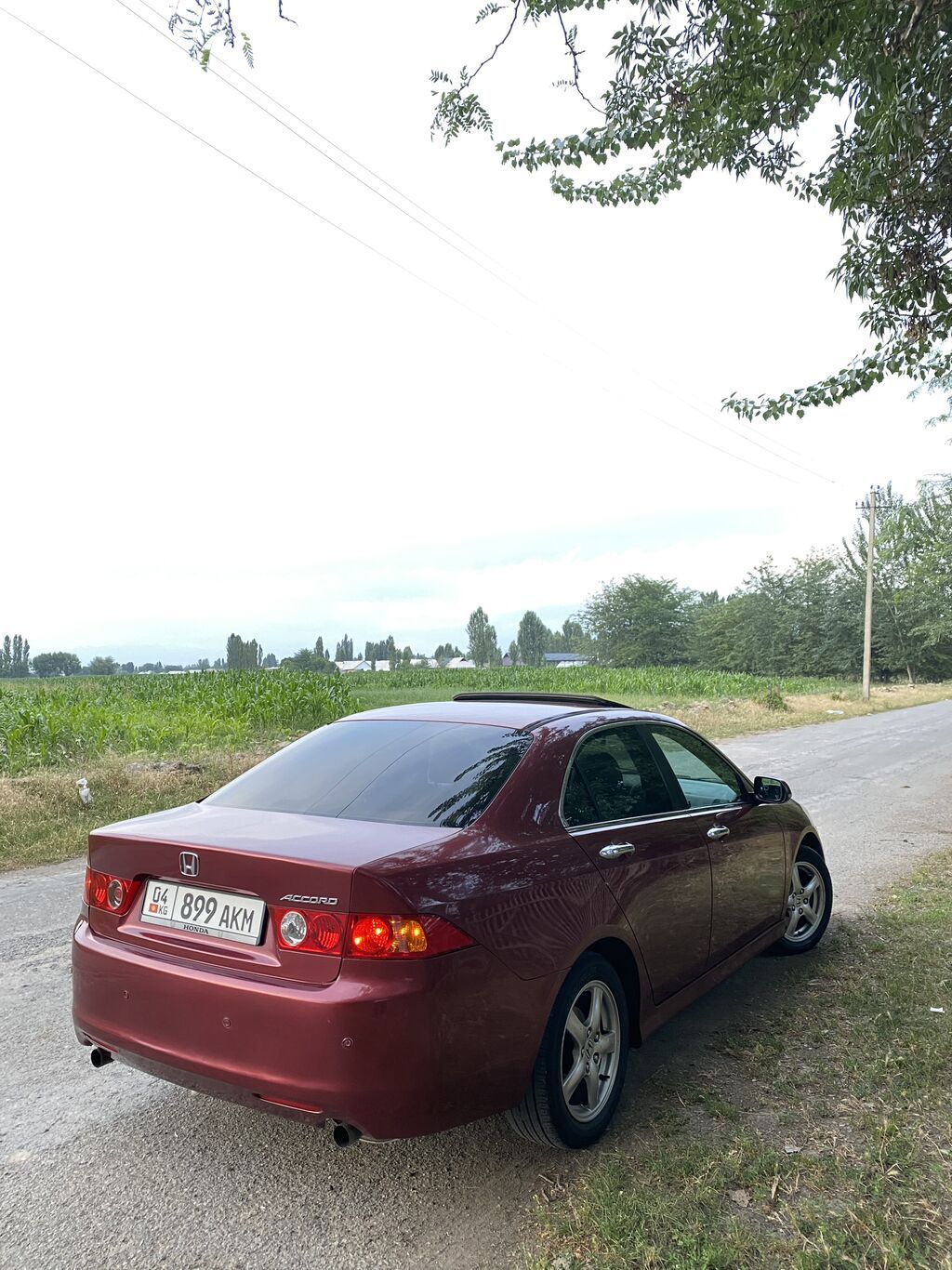 Honda Accord: 2003 г., 2.4 л, Автомат, Бензин, Седан: фото 4