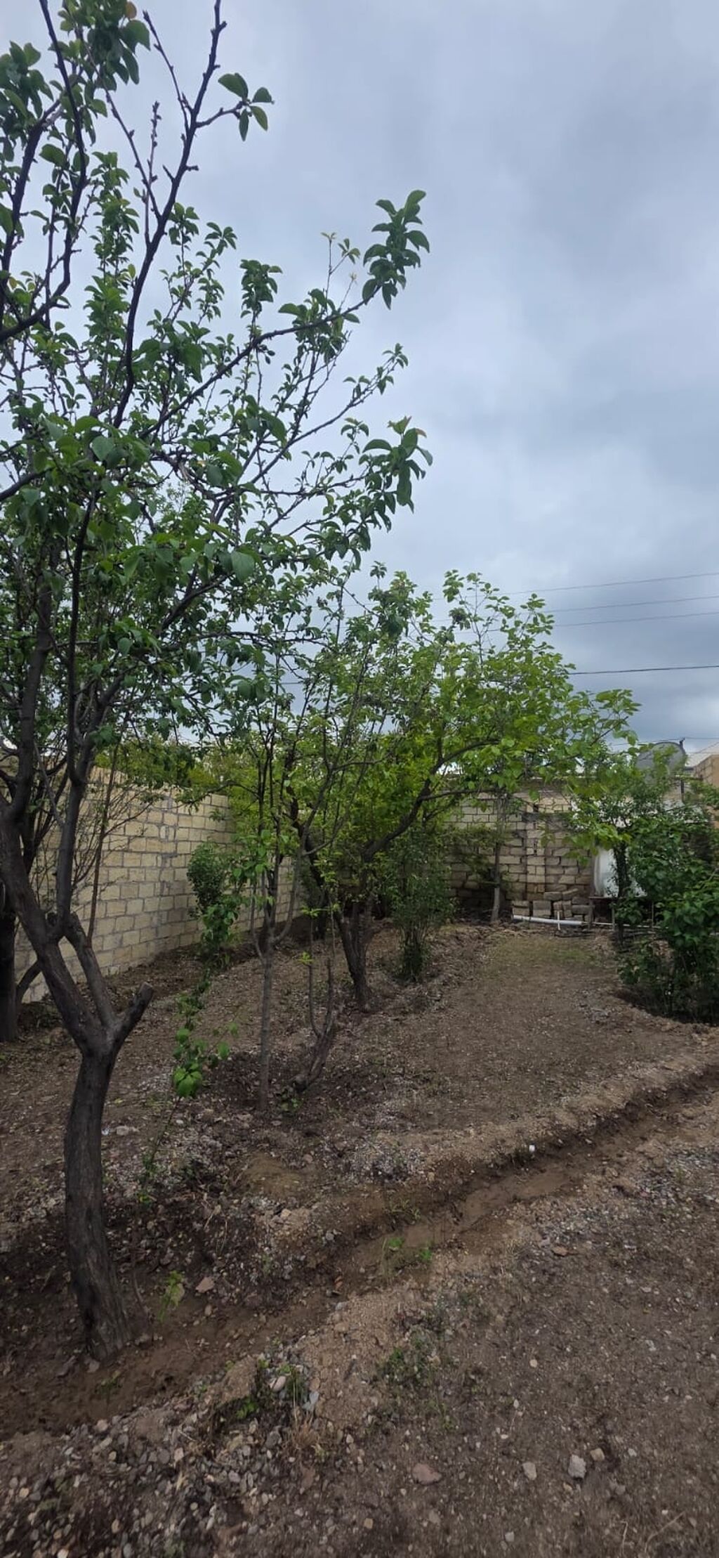 5 otaqlı, 200 kv. m, Yeni təmirli