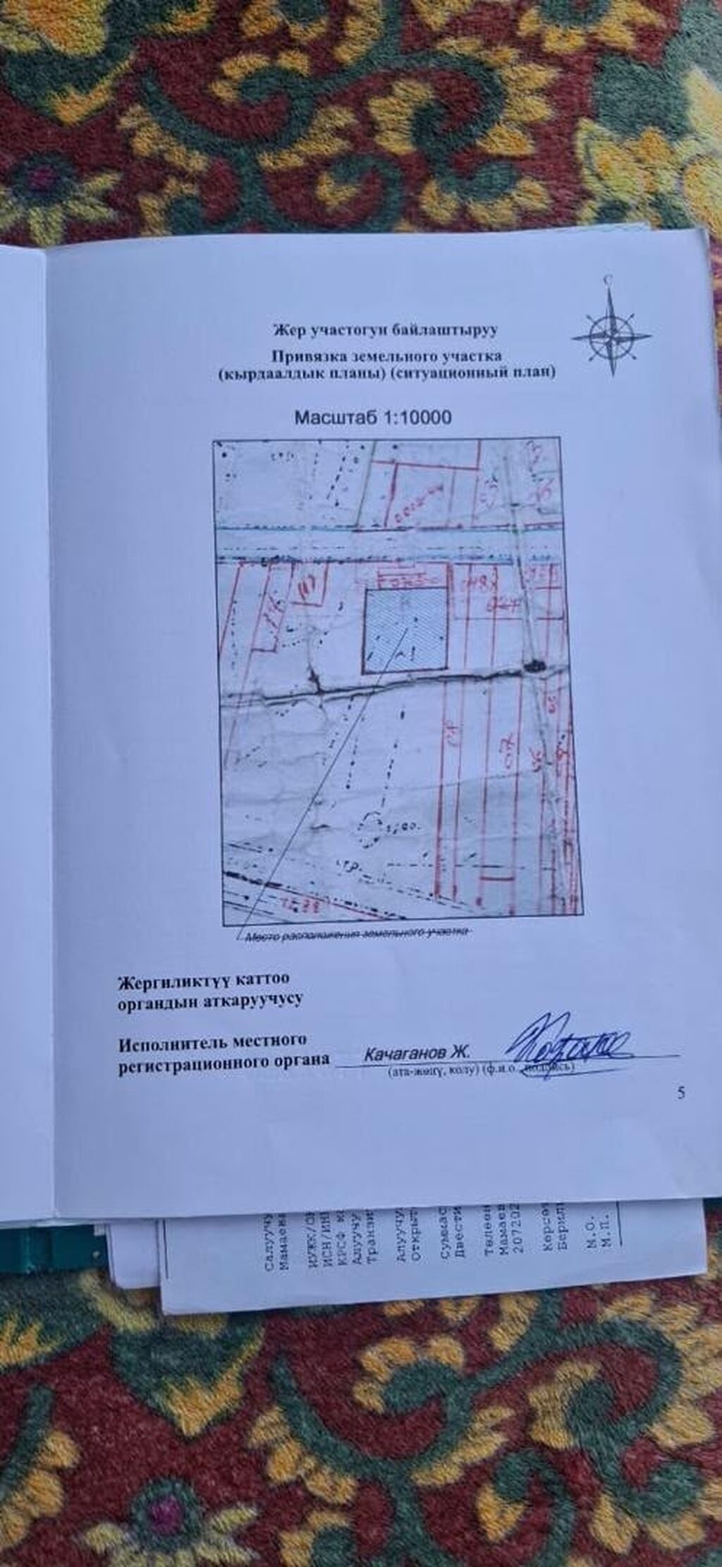 4 соток, Для строительства, Красная книга: фото 3