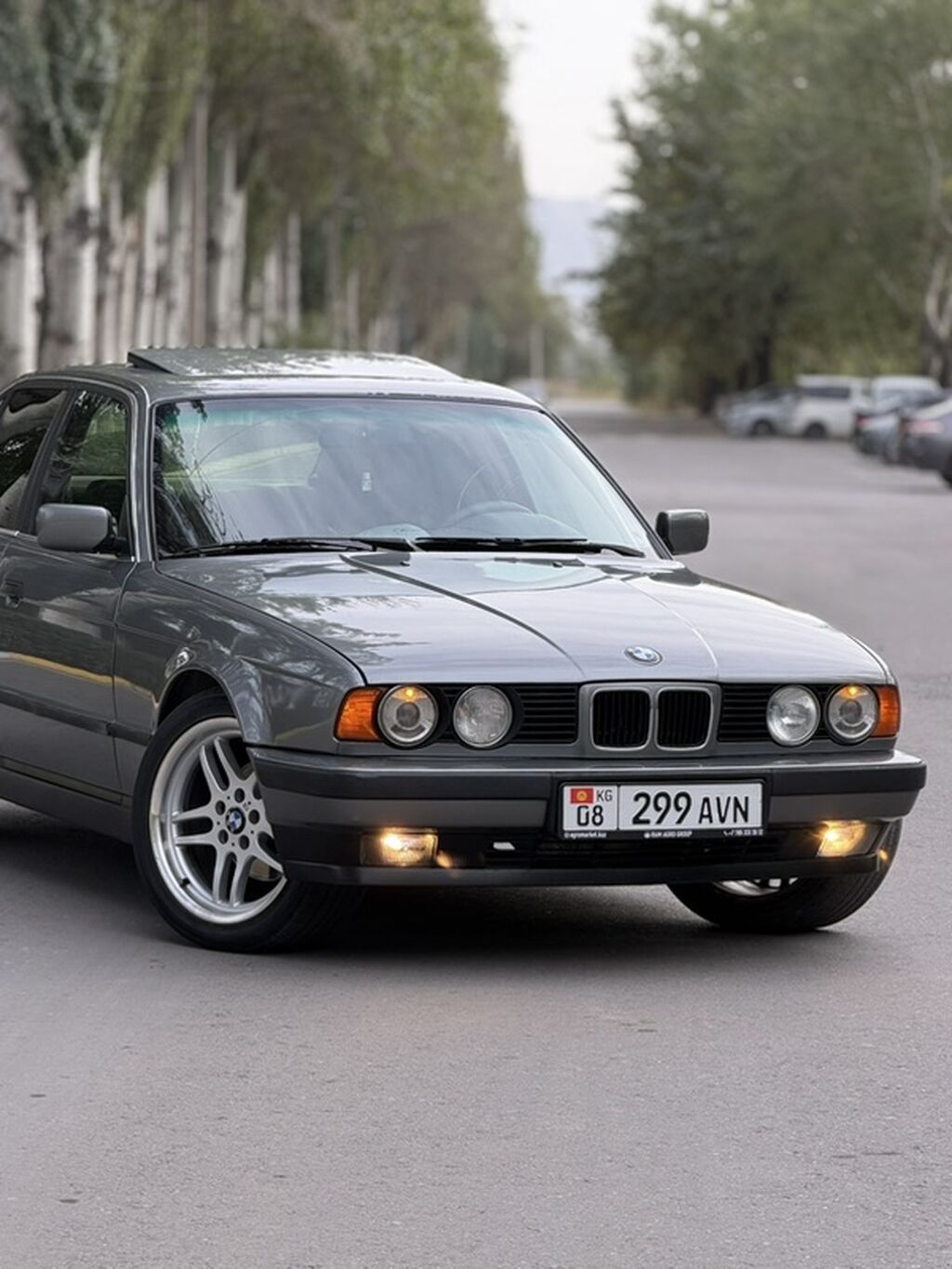 BMW 5 series: 1991 г., 2.5 л, Механика, Бензин, Седан: фото 6