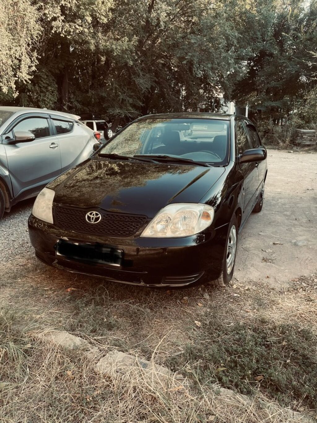 Toyota Corolla: 2003 г., 1.8 л, Механика, Бензин, Седан: фото 4