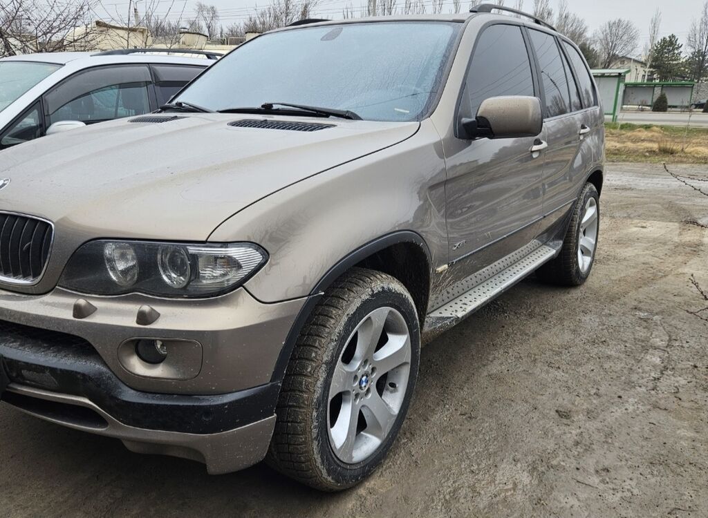 BMW X5: 2005 г., 3 л, Автомат, Дизель, Внедорожник: фото 5