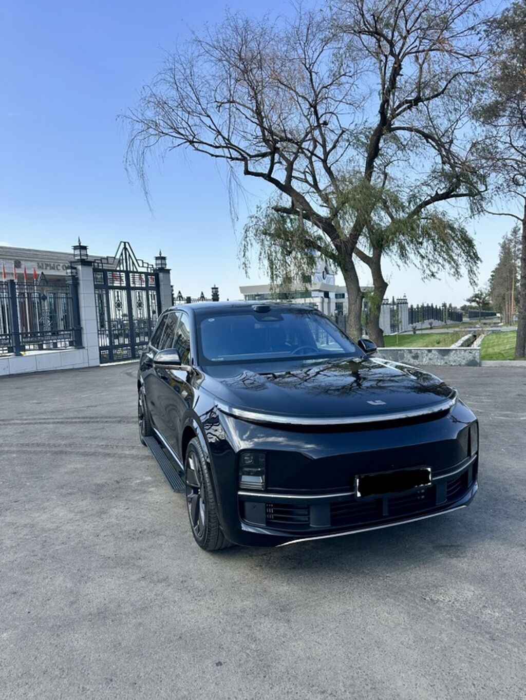 Lixiang L9