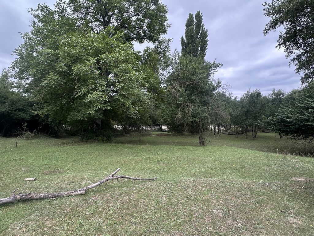 28 sot, Biznes üçün, Mülkiyyətçi, Kupça (Çıxarış)
