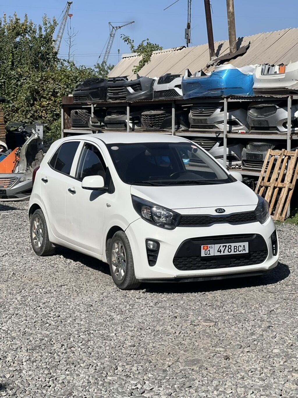 Kia Picanto: 2019 г., 1 л, Автомат, Бензин, Хэтчбэк: фото 2