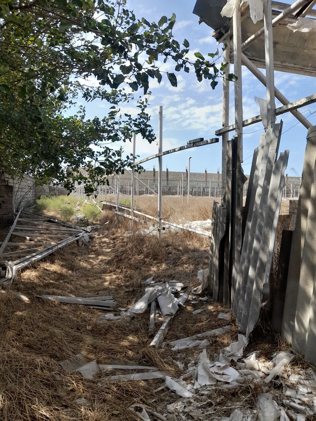 135 sot, Biznes üçün, Kupça (Çıxarış)
