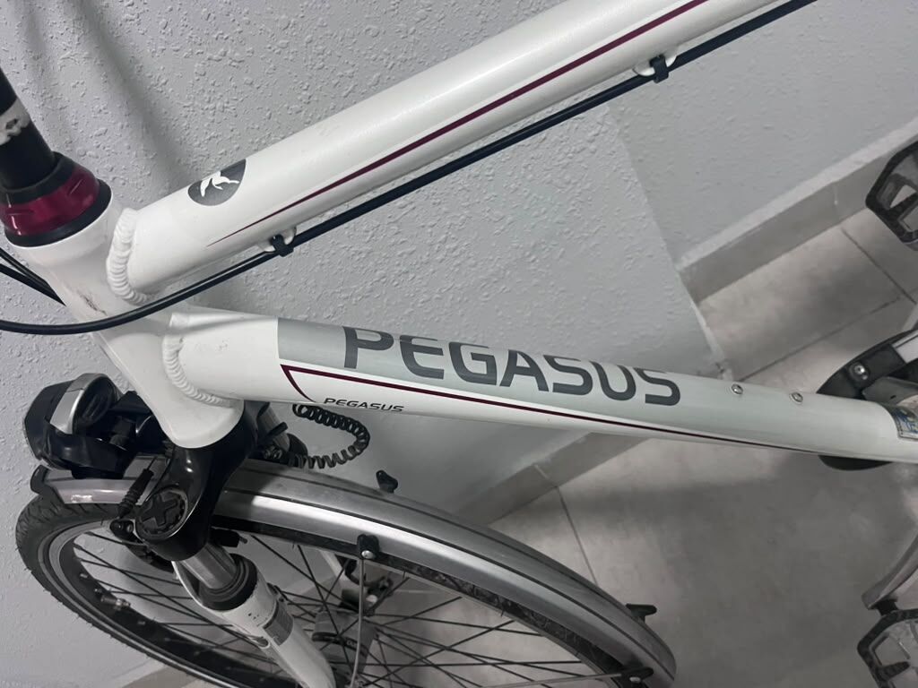 Городской/туринговый велосипед Pegasus Solero SL7 (белый) - Рама — фото 3
