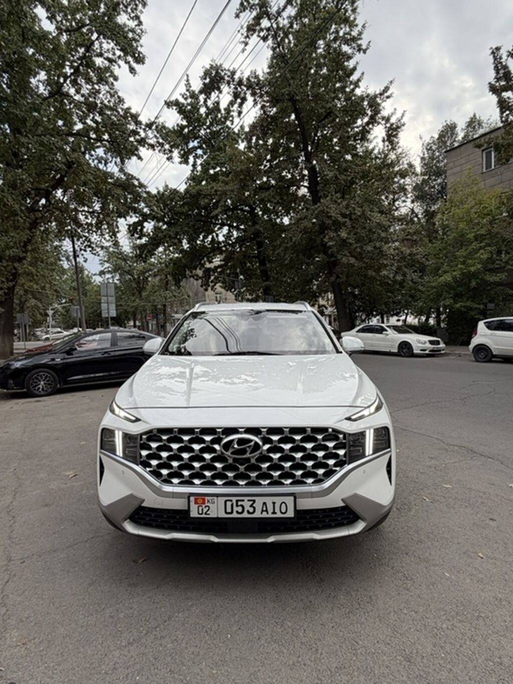 Hyundai Santa Fe: 2020 г., Кроссовер: фото 8