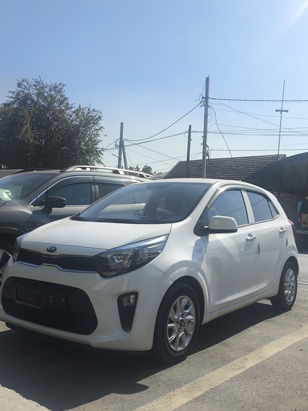 Kia Picanto: 2019 г., 1 л, Автомат, Бензин, Хэтчбэк: фото 3