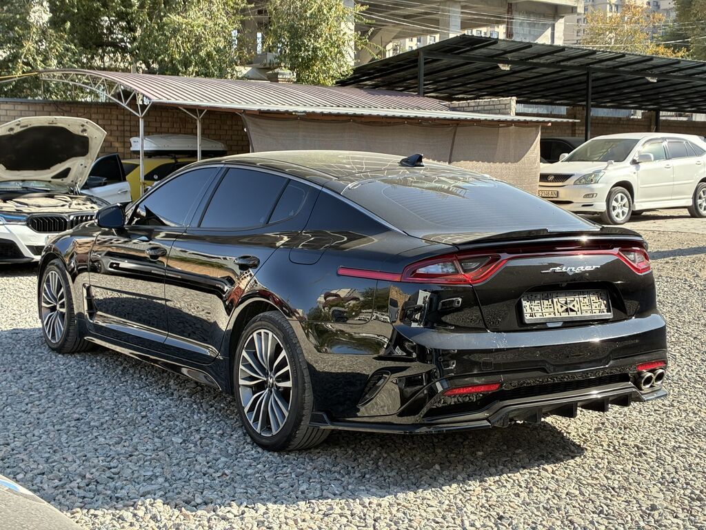 Kia Stinger: 2018 г., 2.2 л, Автомат, Дизель, Лифтбек: фото 6