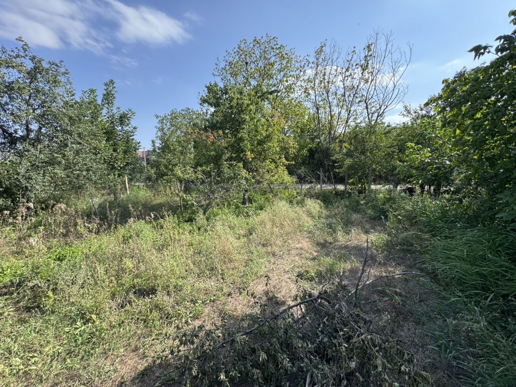 6 sot, Tikinti, Mülkiyyətçi, Kupça (Çıxarış)
