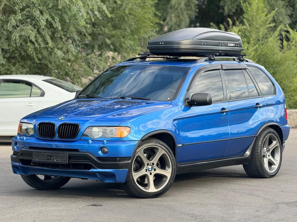 BMW X5: 2003 г., 4.4 л, Автомат — фото 2