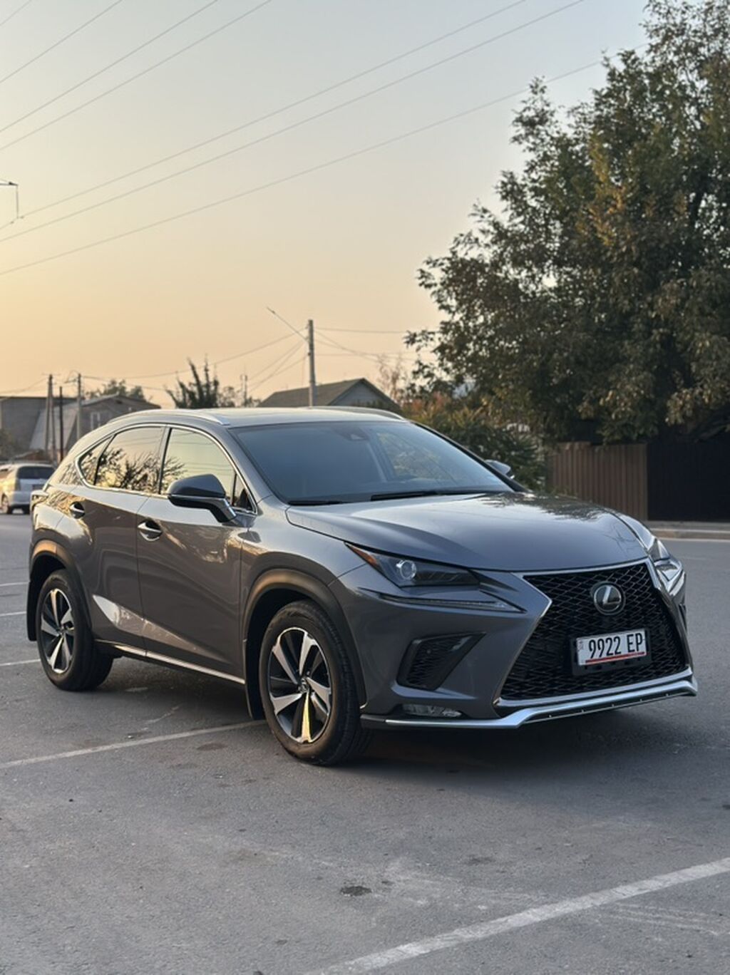 Lexus NX: 2020 г., 2 л, Автомат, Бензин, Кроссовер: фото 1