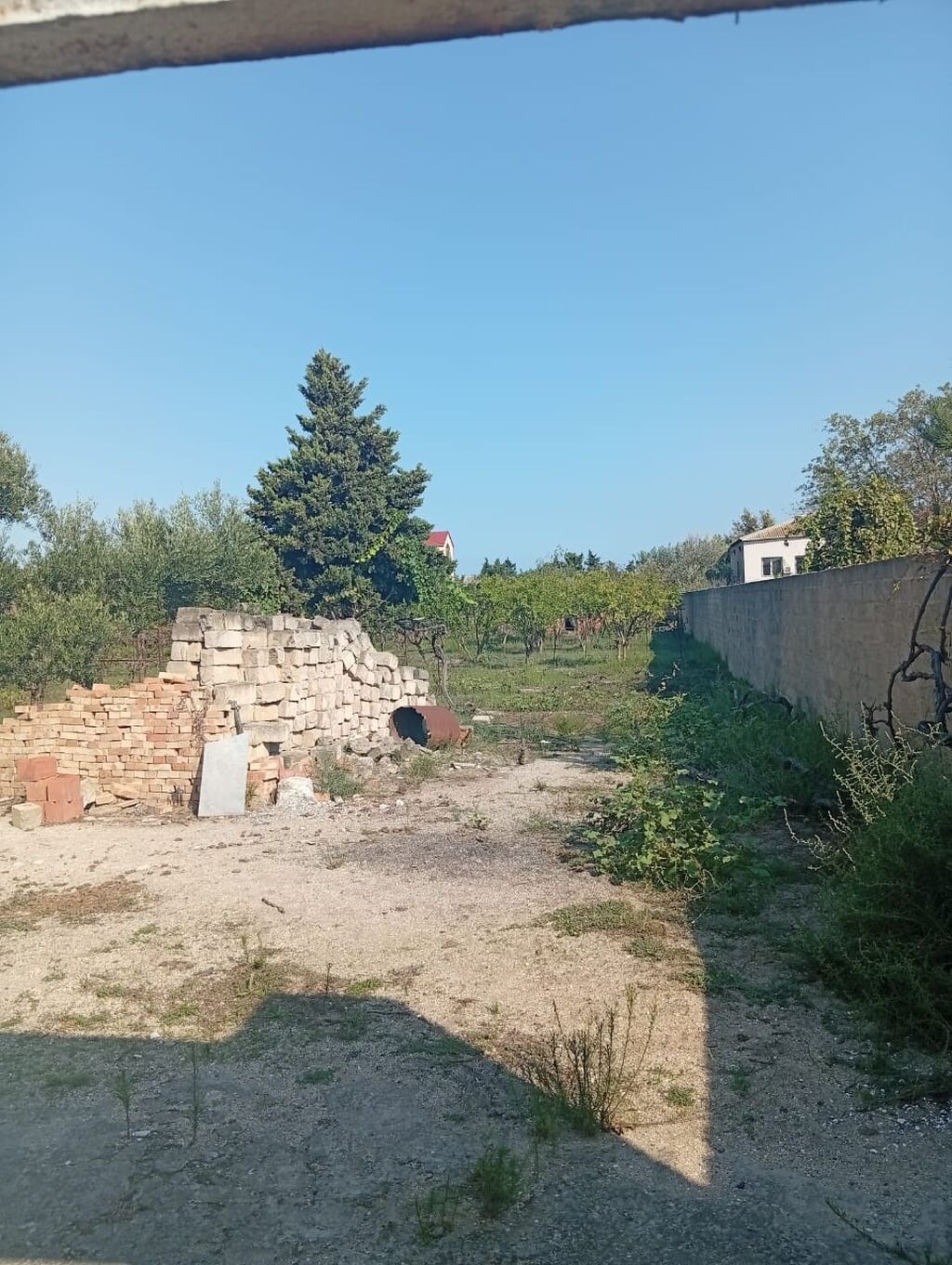 21 sot, Tikinti, Kupça (Çıxarış)