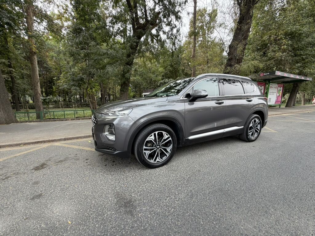 Hyundai Santa Fe: 2019 г., 2 л, Автомат, Дизель, Кроссовер: фото 3