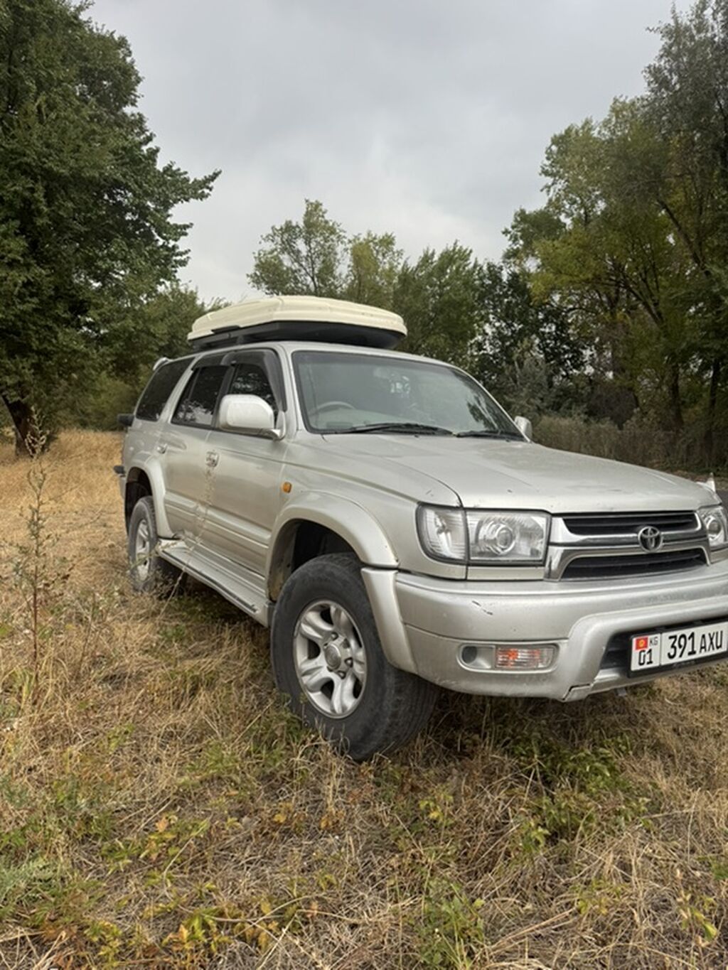 Toyota Hilux Surf: 2002 г., 2.7 л, Автомат, Бензин, Внедорожник: фото 3